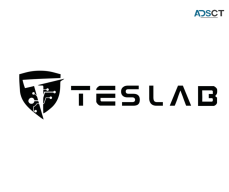 Interested in paint protection for your Tesla?