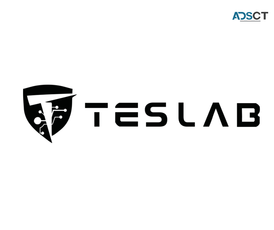 Interested in paint protection for your Tesla?