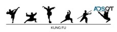 Martial arts teatcher - Kung fu