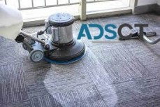 Professional Carpet Cleaning Services in