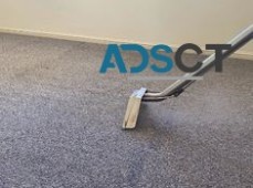 Ultimate Carpet Cleaner Sunshine Coast