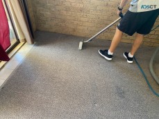 Ultimate Carpet Cleaner Sunshine Coast