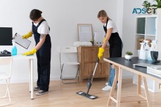 Home Bliss Guaranteed: Unleash the Magic of Our Domestic Cleaning Services!