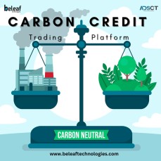 Blockchain based carbon credit platform 