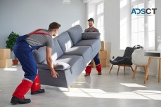 Movee - Movers and Packers Sydney