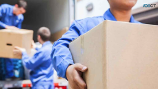 Movee - Removalists Bondi