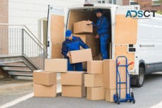 Movee - Brisbane Removlaists