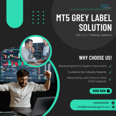 Mt5 Grey Label Solution