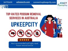 Top-Rated Possum Removal Services