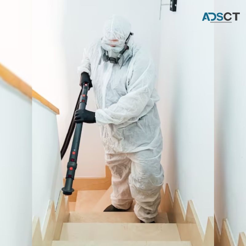 Save Your Home With Termite Inspections