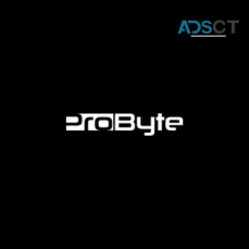 Probyte