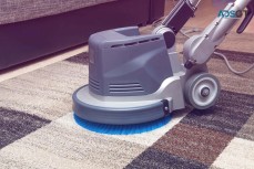 Professional Carpet Cleaning Services