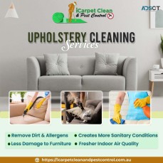 10% Off - Logan's Best Carpet Cleaning and Pest Control | Carpet Cleaning HolmviewiCarpet Clean an