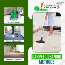10% Off - Logan's Best Carpet Cleaning and Pest Control | Carpet Cleaning HolmviewiCarpet Clean an