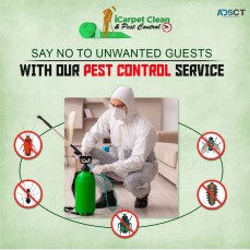10% Off - Logan's Best Carpet Cleaning and Pest Control | Carpet Cleaning HolmviewiCarpet Clean an