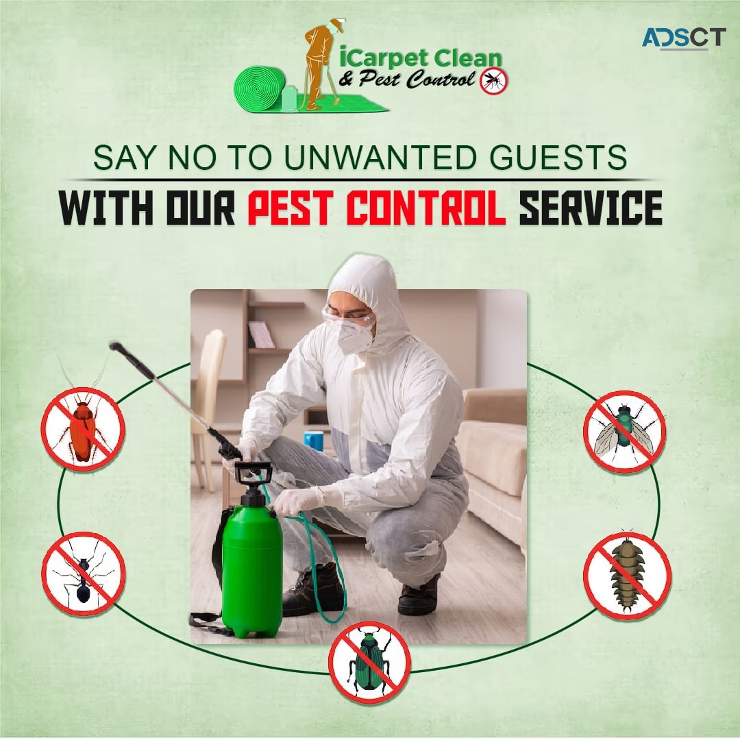 10% Off - Logan's Best Carpet Cleaning and Pest Control | Carpet Cleaning HolmviewiCarpet Clean an