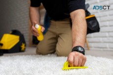 Refresh Your Space with Professional Carpet Cleaning Services!