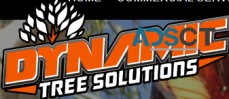 Dynamic Tree Solutions