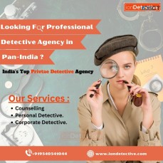 The Art of Discretion: Private Detective Services by Ion