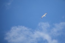 Awesome Way to try and Increase Your Sales Immediately!