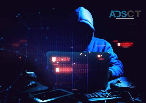 Combat Crypto Scams with Cyber Fraud Reporting