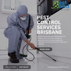 Find the Best Pest Control Services in B