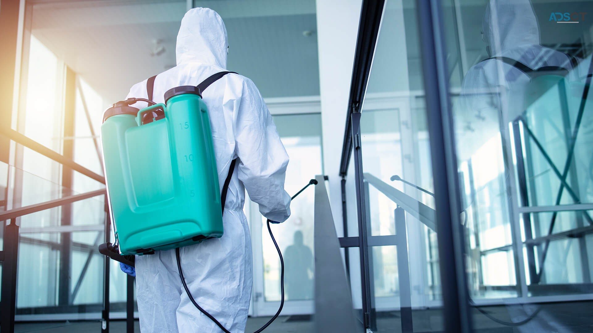 Get Reliable Pest Control Services in Coomera