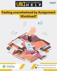 Managerial Accounting Assignment  Helper