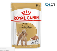 Royal Canin Poodle Adult Loaf Pouches We