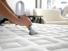  Book the Best Mattress Cleaning Service in Hervey Bay