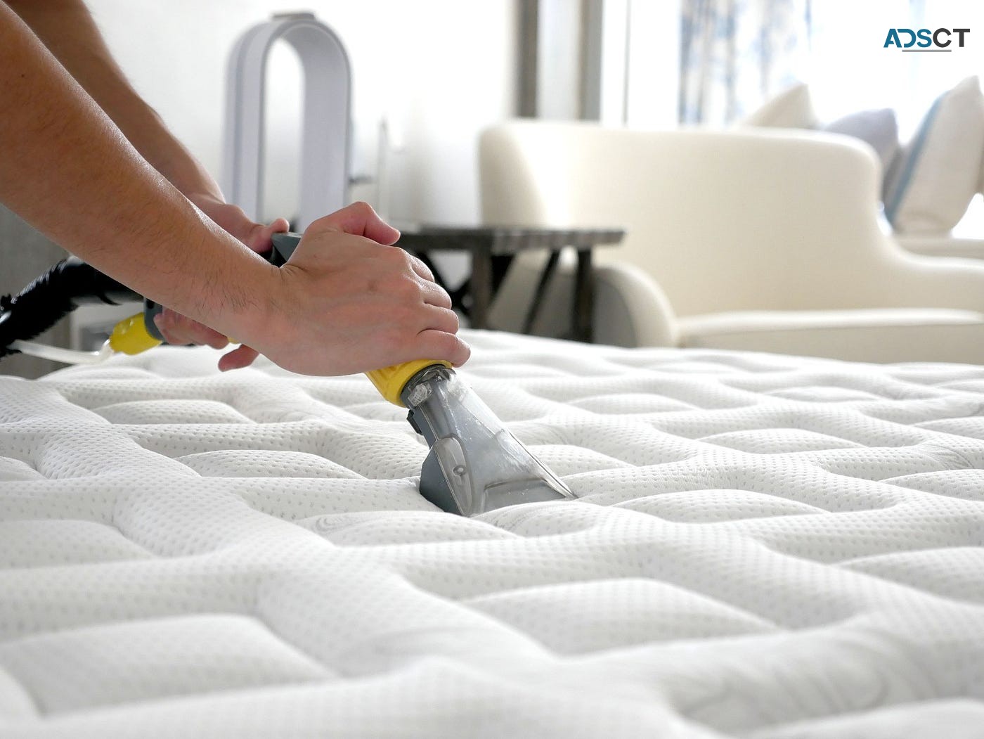  Book the Best Mattress Cleaning Service in Hervey Bay