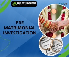 How much is the usual cost associated with a Pre Matrimonial Investigation?