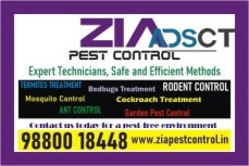 Cockroach Treatment Service  ...