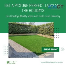 artificial lawn Canberra
