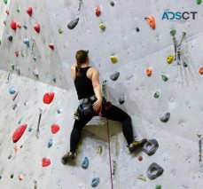 Explore Thrilling Climbing Walls for Adv
