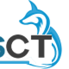 Blue Fox Finance: Your Success, Our Priority