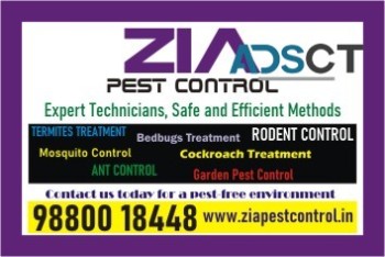  Bedbug and Rodent Control  | Pest Control service in Bangalore | 1821