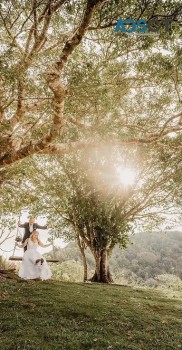 Premier Cairns Wedding Photography Services