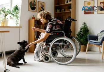 Importance of Quality SIL Services in Independent Living