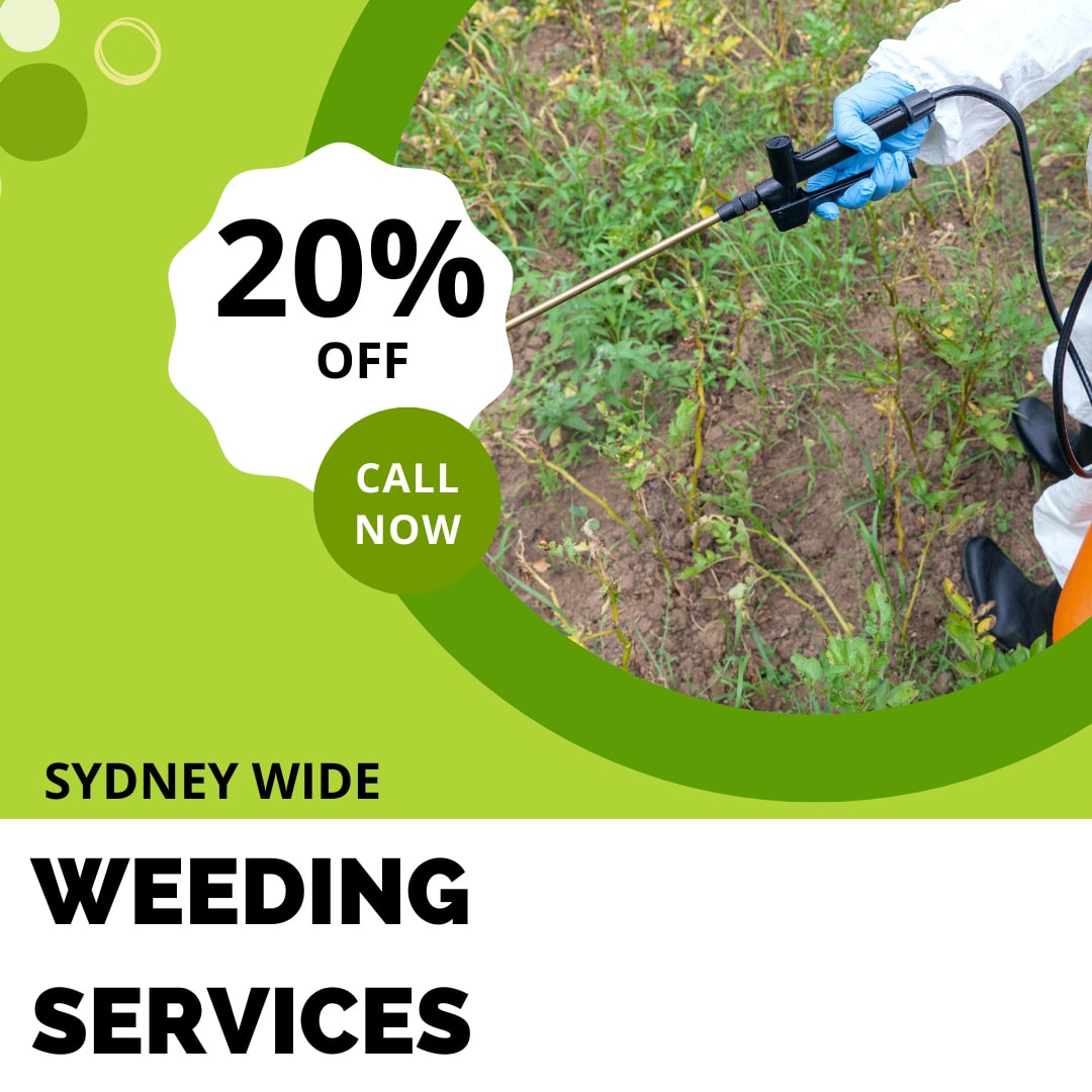 A1 Gardening & Landscaping Sydney