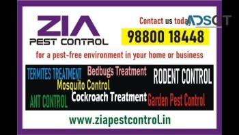 Zia Pest control | Cockroach service just Rs. 799/- only | Bangalore | 1978