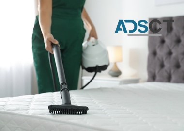 Premium Leather Cleaning Solutions in Brisbane