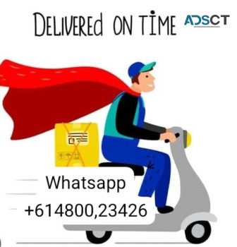 Meth 048-00234-26 Weed Molly MDMA Coke Ice Mushroom Shroom Cold Snow Gear Snow