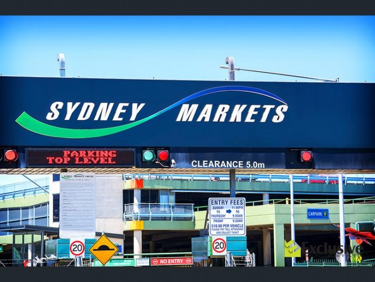 Call 1-800-875-318 to Apple ID Password Reset