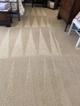 Best Carpet Cleaning Sydney