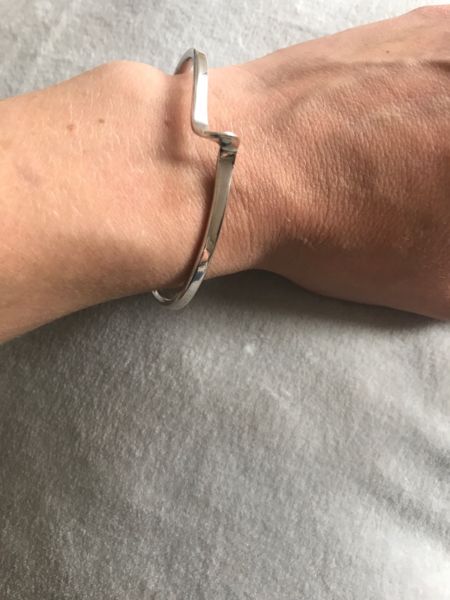 Steve Pickens Constructions