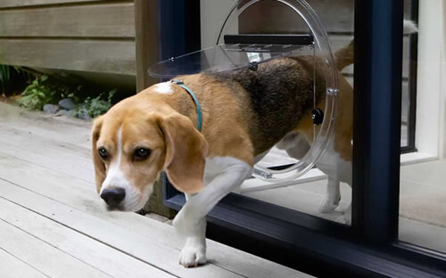 All Solutions Building Pty Ltd