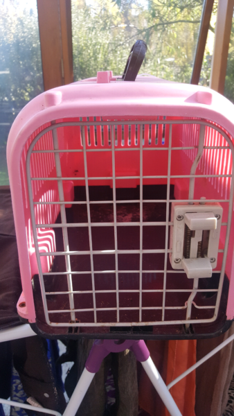 Luxury Car Rental Service |Luxury Car Hire Services |Day Tours Around Melbourne 