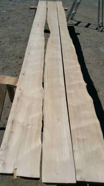  Peninsula Skin Cancer Centre