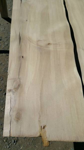  Peninsula Skin Cancer Centre